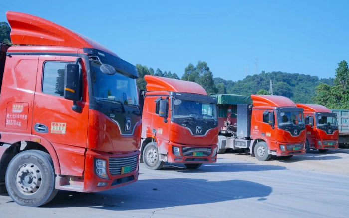 零碳先鋒 | 百臺徐工新能源助力福建客戶成功創(chuàng)富！