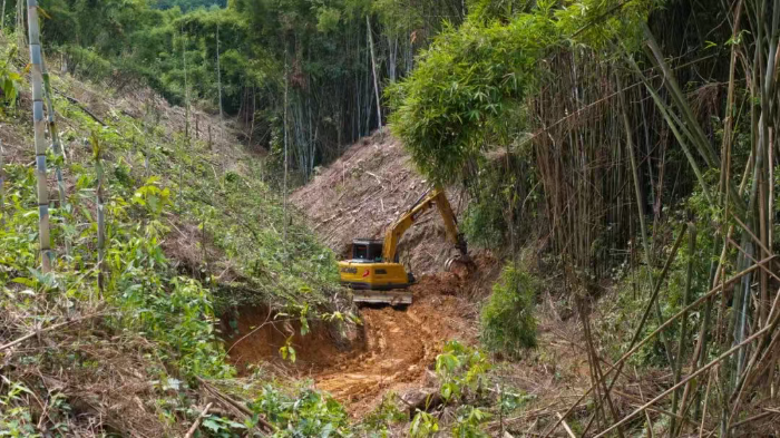 林間“藏龍”，竹?！芭P虎”——徐工林業(yè)挖機(jī)廣西俠客行